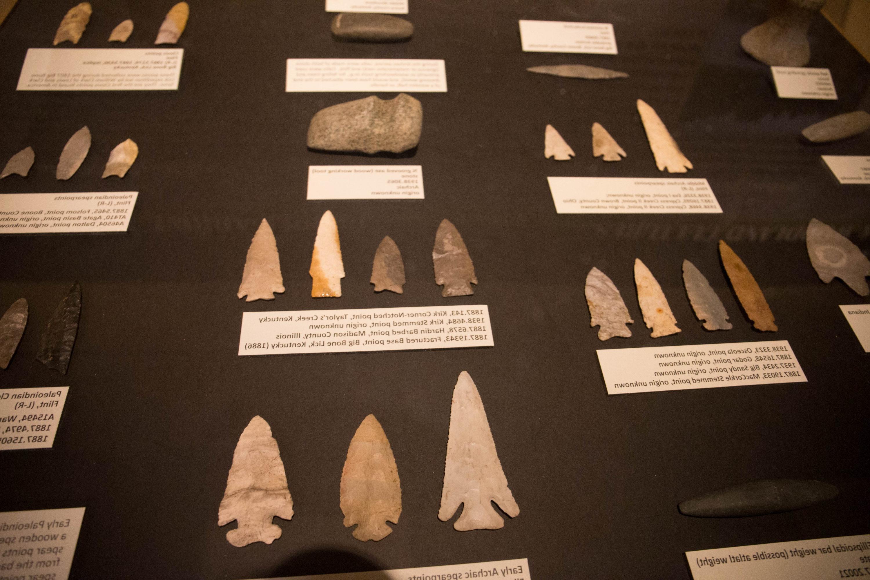 photo of artifacts (arrow heads)